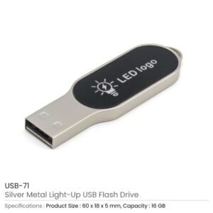 Oval Shaped Light-Up Logo USB 16GB