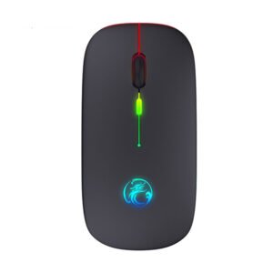AM 06 LED LIGHT UP LOGO WIRELESS MOUSE