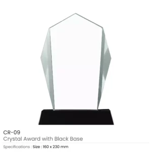 Crystal Award with Black Base in Wooden Box