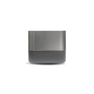 Bluetooth Speaker Silver