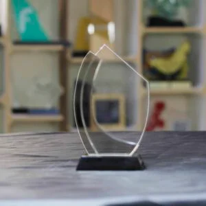 Curve Double Layer Award