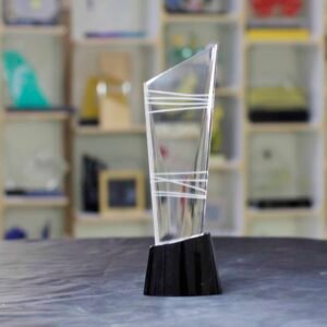 Curvy Oval Shape Award