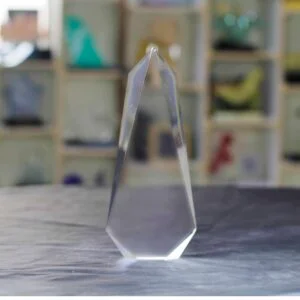 Iceberg Award