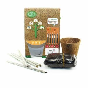 Plant A Pencil Kit