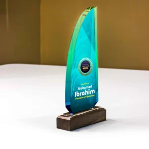 Sail with Wooden Base