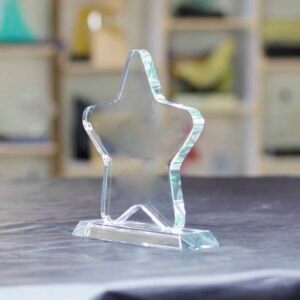 Star - 2D Cutout Award