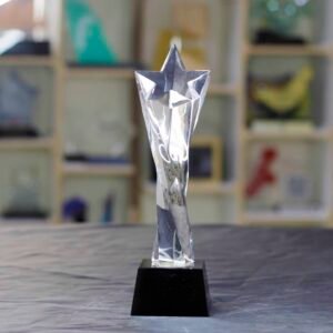 Star - Curvy 3D Award