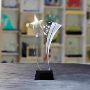 Star with Axe Shape Award